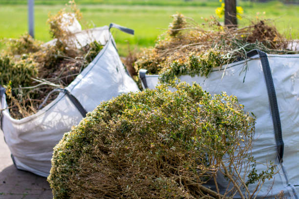 Best Electronics Removal Services  in Lexington, SC